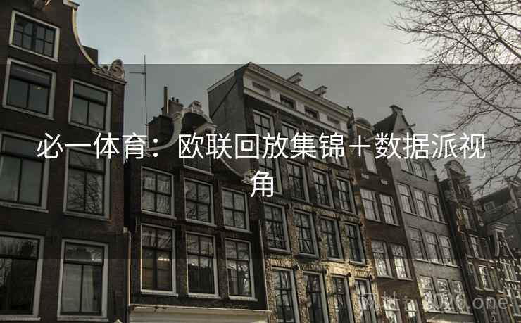 必一体育:欧联回放集锦+数据派视角