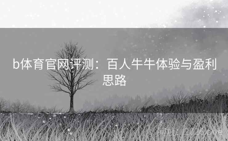 b体育官网评测:百人牛牛体验与盈利思路