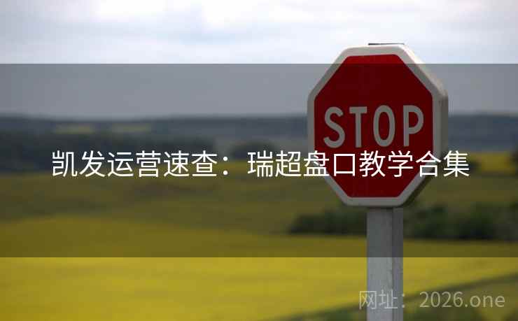 凯发运营速查:瑞超盘口教学合集