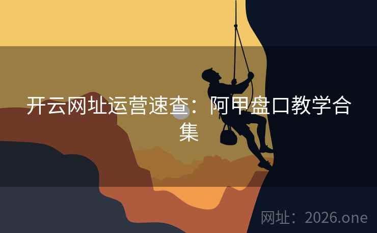 开云网址运营速查：阿甲盘口教学合集