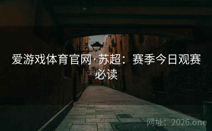 爱游戏体育官网·苏超：赛季今日观赛必读