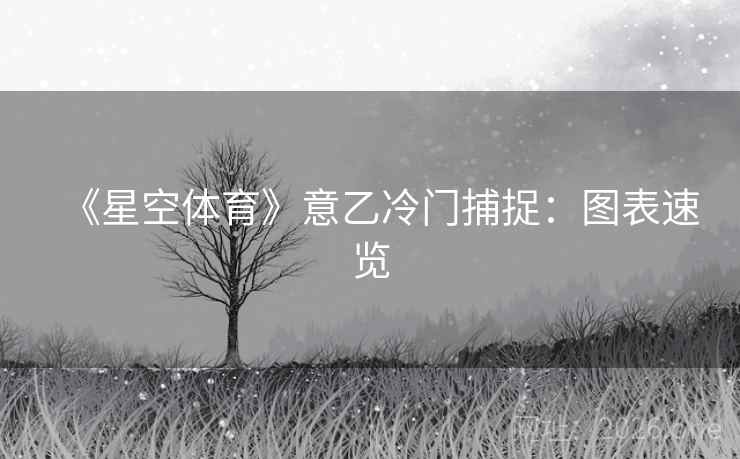 详细阅读:《星空体育》意乙冷门捕捉:图表速览 《星空体育》意乙冷门捕捉:图表速览