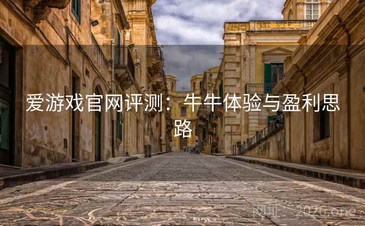 爱游戏官网评测：牛牛体验与盈利思路